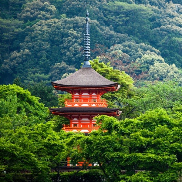Circuit Japon au volant : Échappée sauvage entre terre et mer