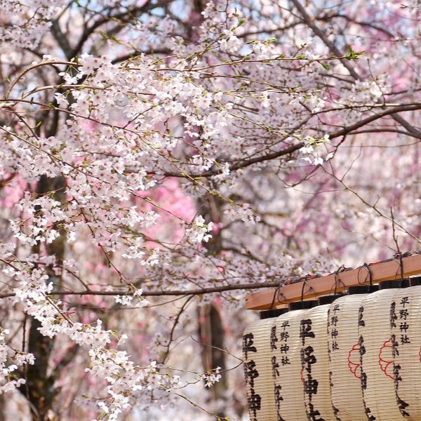 Circuit Japon en train : Odyssée Nippone