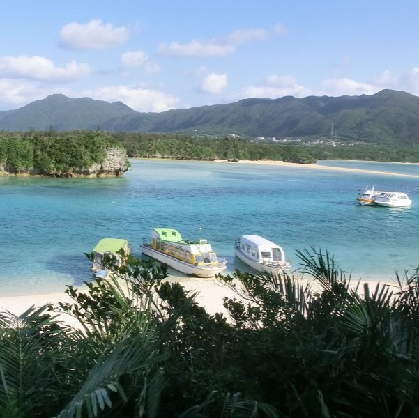 Circuit Japon au volant : Cartographie de la Beauté