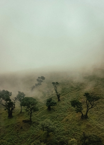 Montagnes Tanzanie