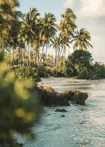 Côtes à Zanzibar