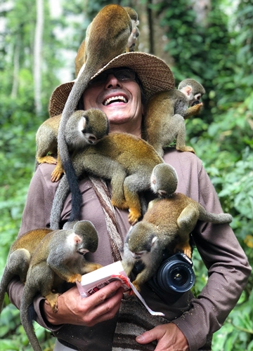 Les singes en Amazonie
