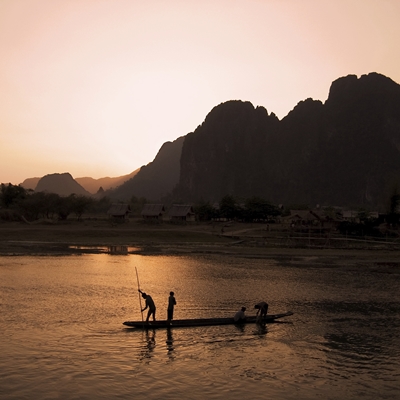Des fleurs aux racines