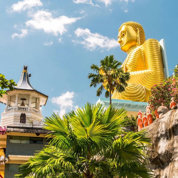 UN THÉ AVEC BOUDDHA
