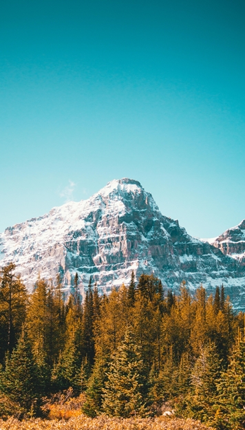Coup de coeur Banff