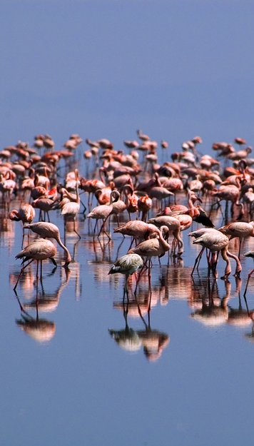 LAC NATRON