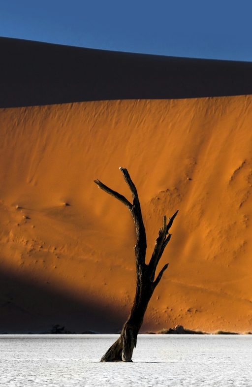 Coup de coeur Namib-Naukluft