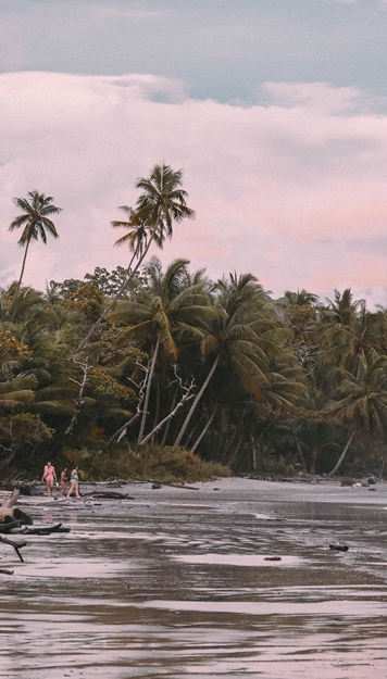 Coup de coeur Corcovado