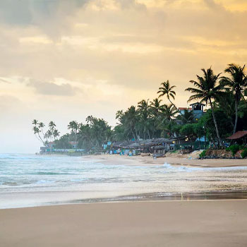 Circuit Sri Lanka : Shrivatsa, nœud infini de l'amour