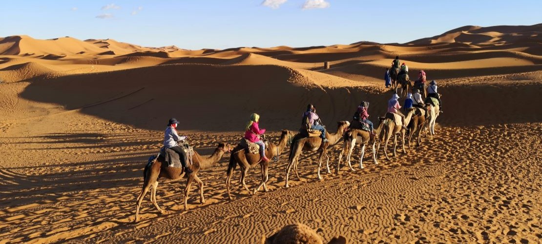 Sortie dromadaire désert marocain