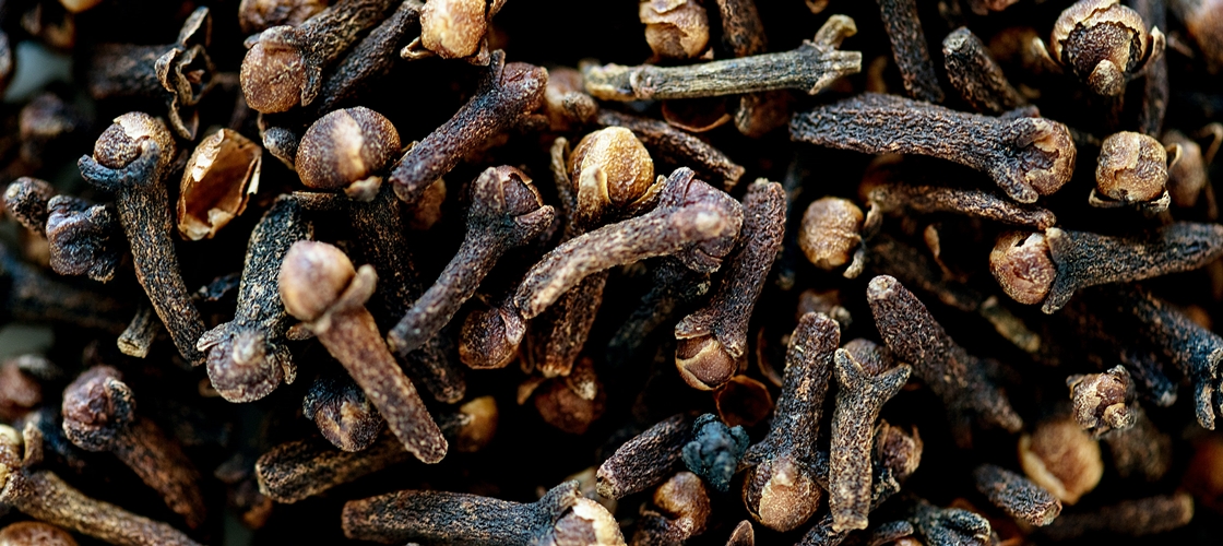 Girofles à Zanzibar