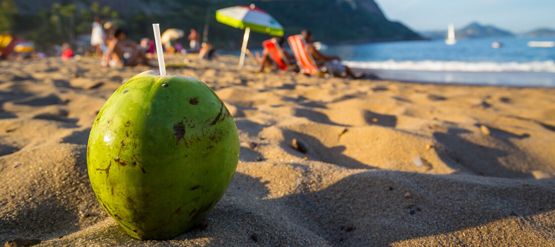 Noix de coco sur une plage brésilienne