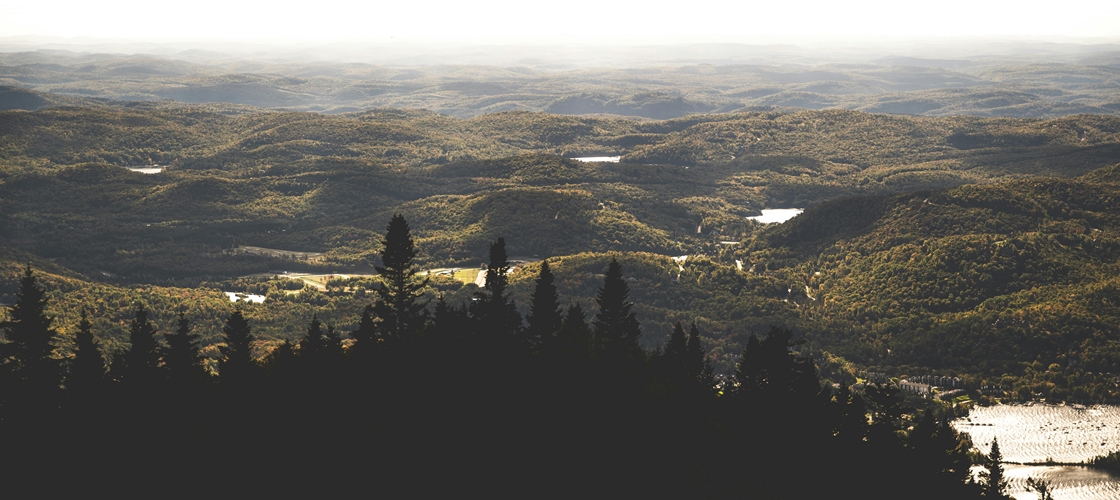 Les landes canadiennes