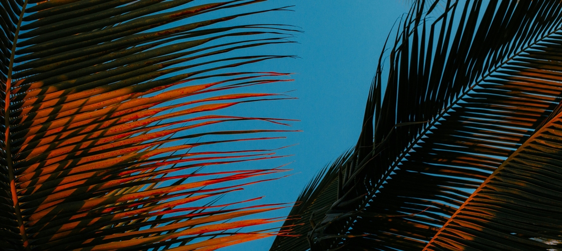 $tag_bloc_hermes[$cptHerm]->alt