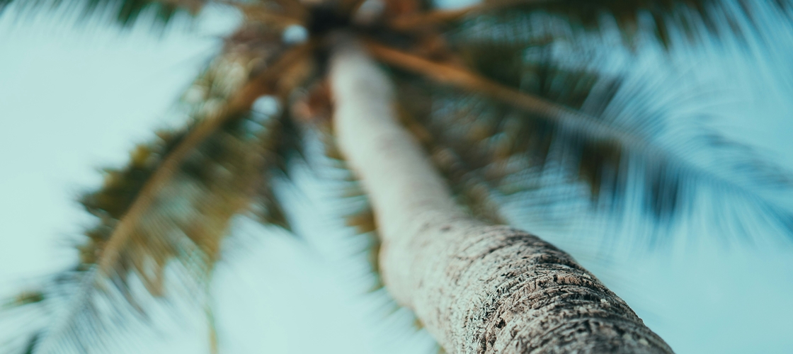 $tag_bloc_hermes[$cptHerm]->alt