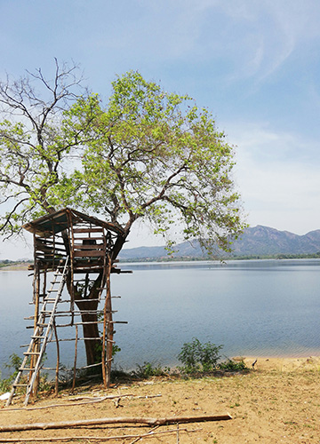 Cabane au Sri lanka