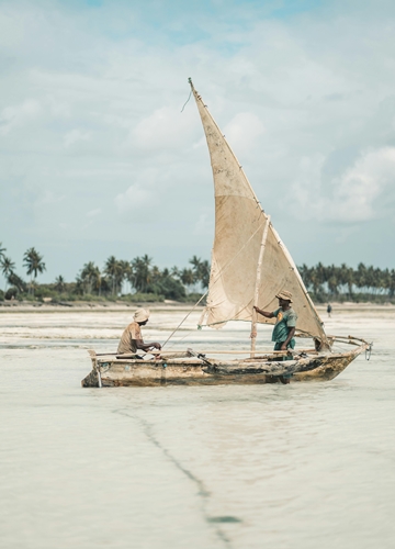 Dhow à Zanzibar