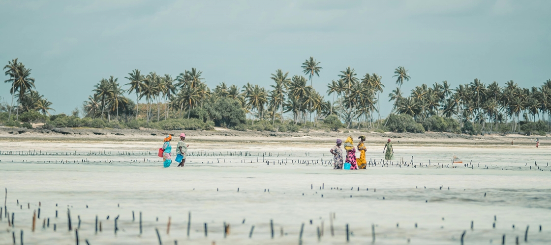 Voyager à Zanzibar