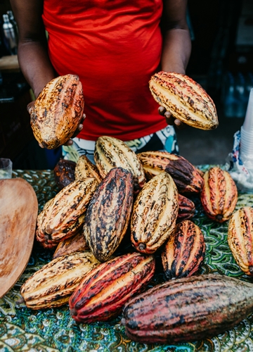 Cuisine brésilienne