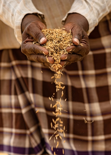 Gastronomie tanzanie