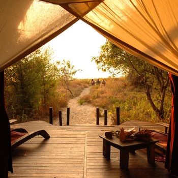 Greystoke : L'Afrique de Stanley & Livingstone