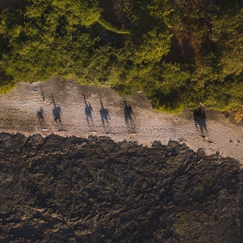 Le Défi de la Nature