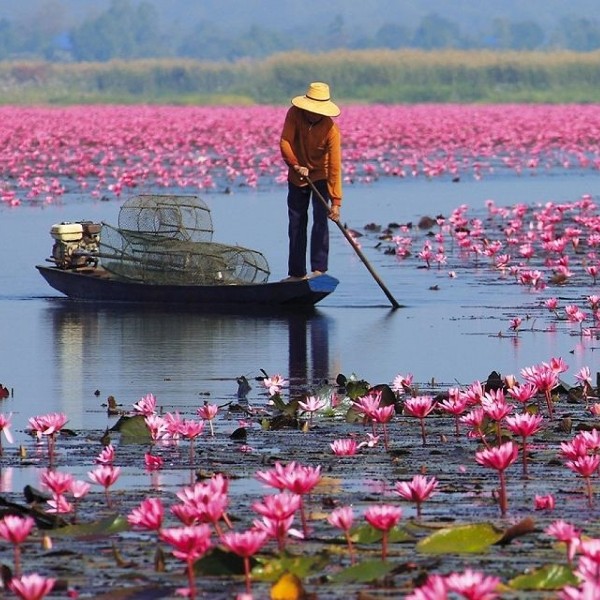 L’Est de la Thaïlande, culture authentique de l’Isan