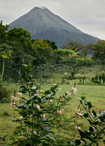 Arenal
