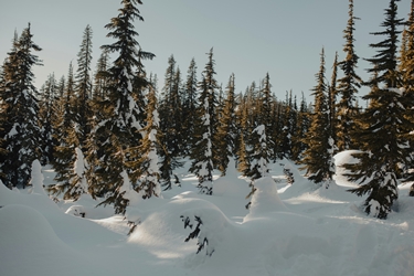 Noël au Canada