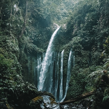 Bali, Sulawesi, Lombok, le Monde d'après