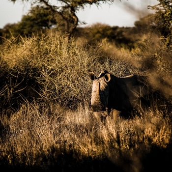Circuit Namibie : Quand Passe le Marchand de Sable
