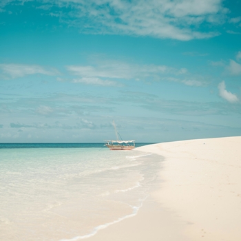 Premier safari avec vos lionceaux