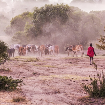 Petit guide culturel : us et coutumes en Tanzanie