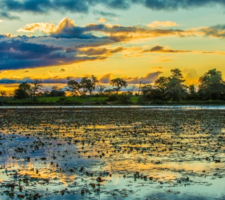 Voyage de noces en Amérique latine : nos coups de cœur