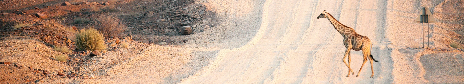 Voyage en Namibie
