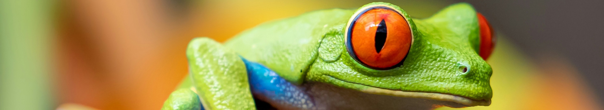 Voyage au Costa Rica