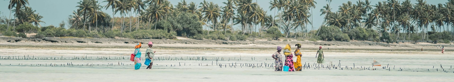 Voyage à Zanzibar