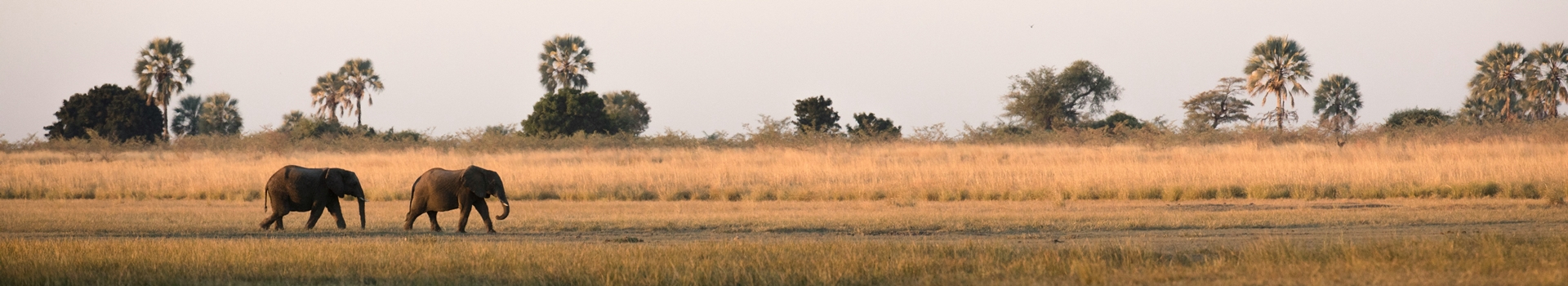 Voyage en Tanzanie