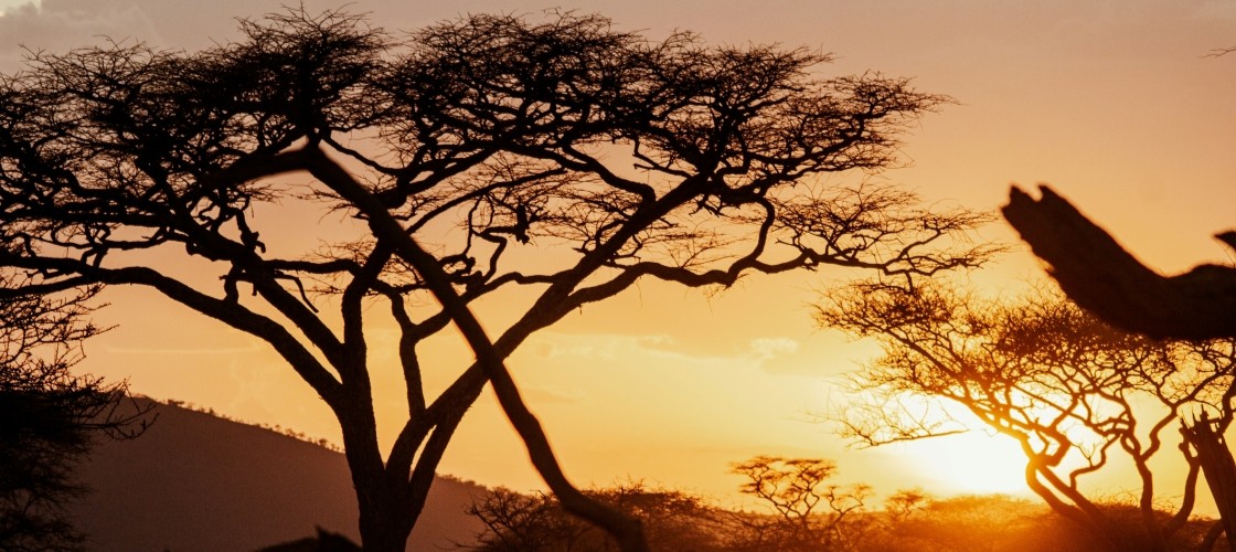 Un crépuscule sur le Serengeti