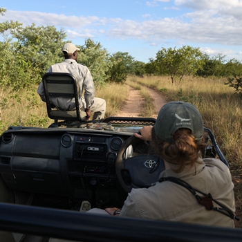 PREMIER SAFARI AVEC VOS LIONCEAUX