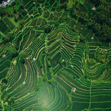 Bali, que faire sur l’île aimée des dieux ?
