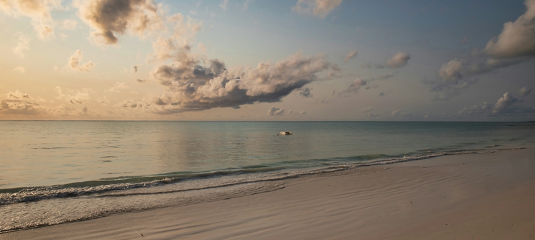 safari - plage