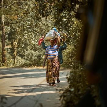 Safari en Tanzanie et plage à Zanzibar en famille