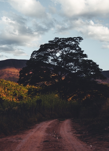 Sur la route au Brésil