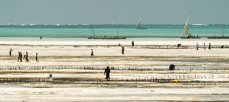Tanzanie-zanzibar