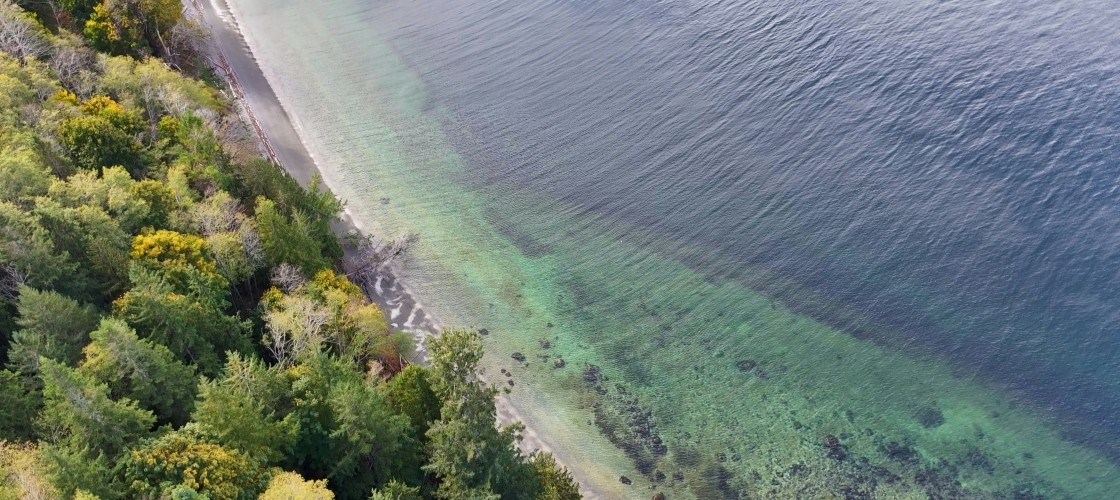 La côte Pacifique