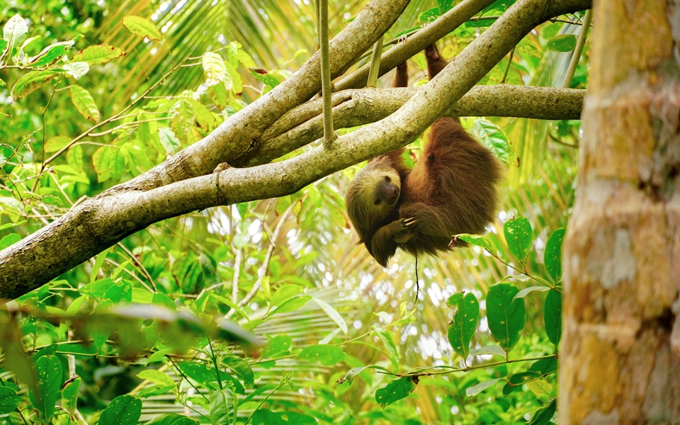 Voyager au Costa Rica