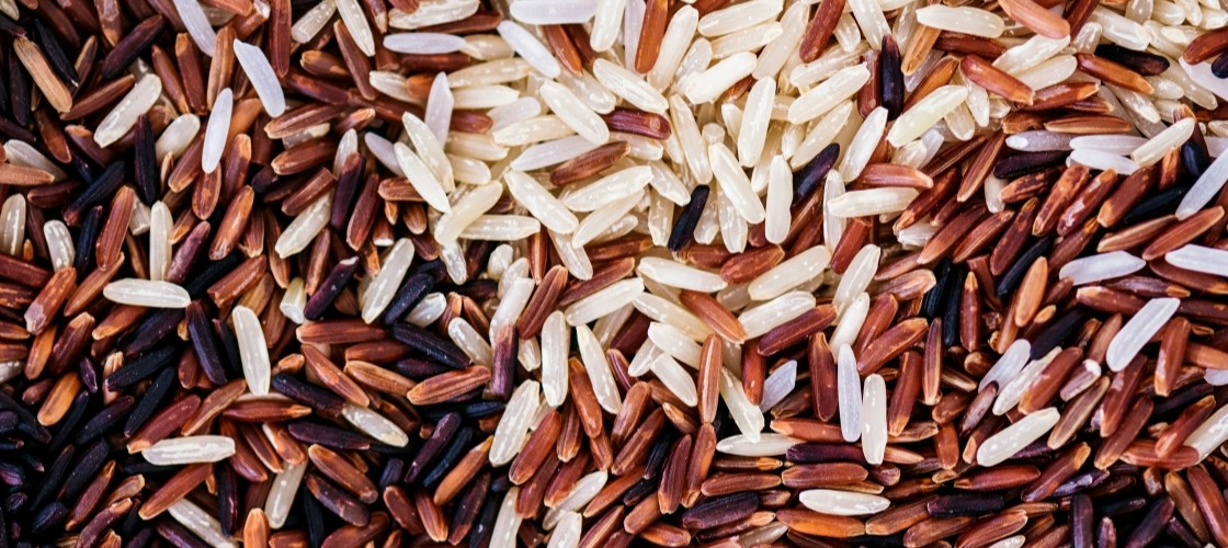 $tag_bloc_hermes[$cptHerm]->alt