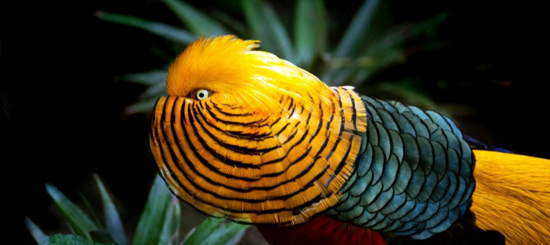 $tag_bloc_hermes[$cptHerm]->alt