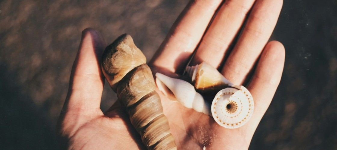 $tag_bloc_hermes[$cptHerm]->alt